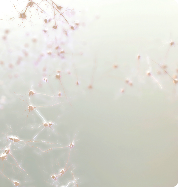 image_1x Abstract image featuring interconnected, soft-focus neural structures on a pale background, suggesting a network or web-like pattern.